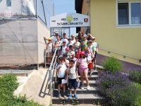 Tennis Open 2019