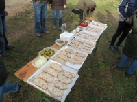 Wandertag-2015-21-800x600